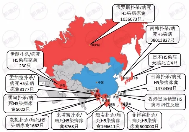 中国疫情第二波最新动态解析与评估