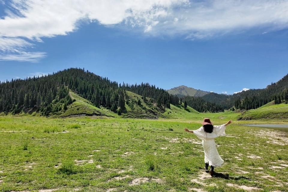 暑假新疆旅游指南，探索天山魅力之旅