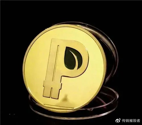 P币最新动态解析与未来展望，全方位解读P币最新消息及前景展望