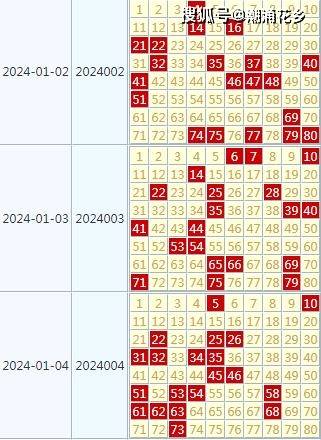 2024天天彩官方资料汇编，状态评估与深度解析版LUY640.96