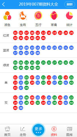 新澳门彩出码综合走势图表大全,详细步骤解释解答_任务型8.562