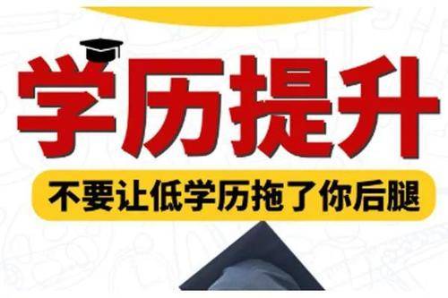 新奥门免费资料挂牌大全,本事解答解释落实_革新版1.406