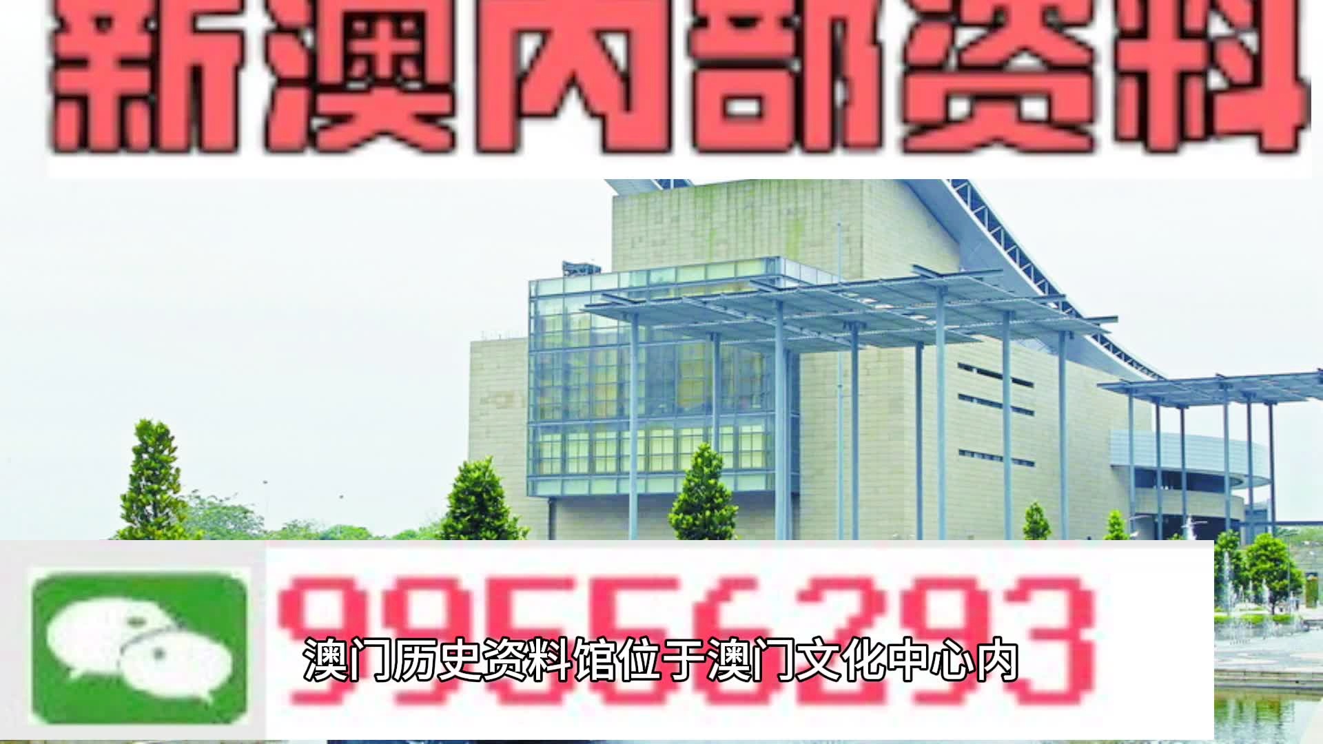 新澳门资料免费长期公开,2024,经典解释落实_特供版171.315