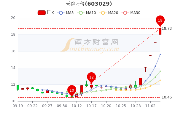 天鹅股份最新股票行情解析