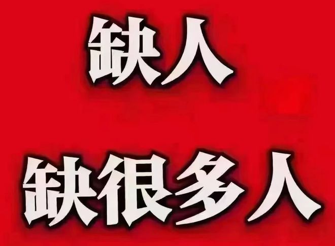 秦安临时工最新招聘信息及相关探讨综述