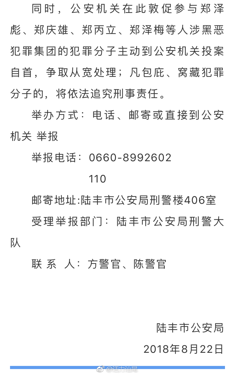 陆丰郑泽彪的最新动态及成就概览