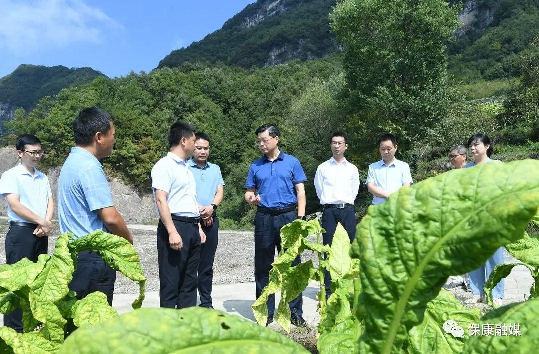 保康县县委新班子，地方发展的核心引领力量